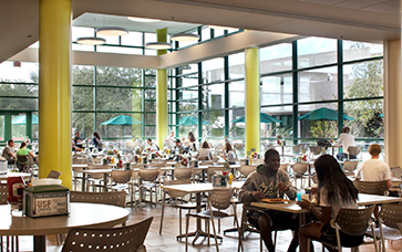 University-of-South-Florida-3